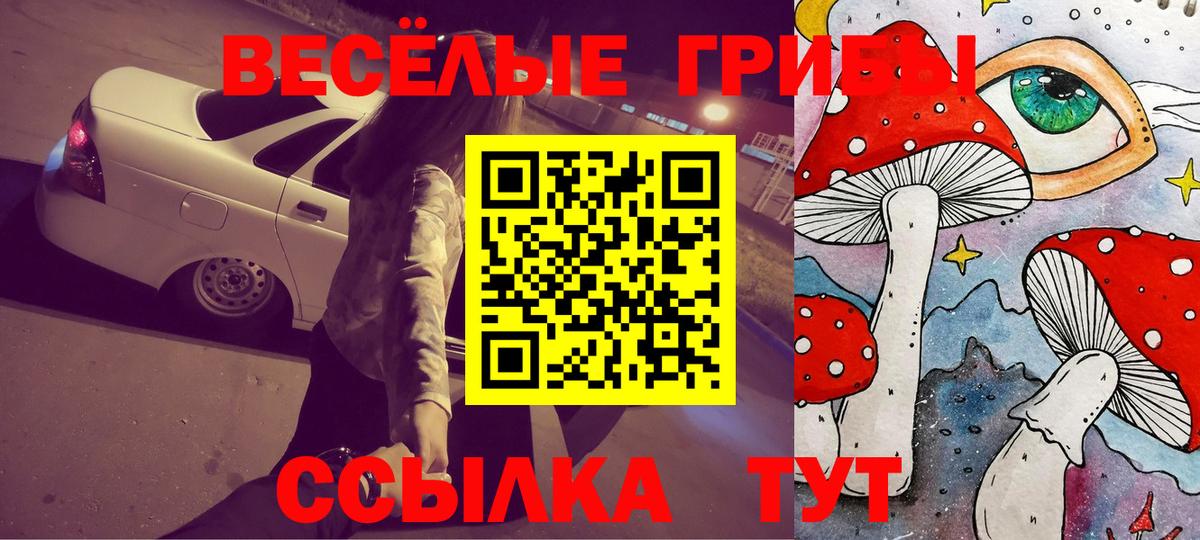 Новокубанск  Псилоцибиновые грибы MAGIC MUSHROOMS  Галлюциногенные грибы GOLDEN TEACHER  цены   Вход с VPN 