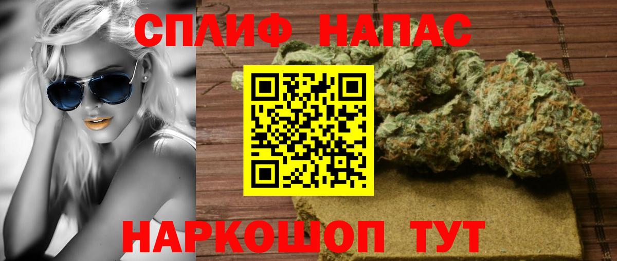 Бошки Шишки сатива Новокубанск